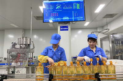 迎江经济开发区玖月网络荣获两项省级认定，彰显数字经济创新实力